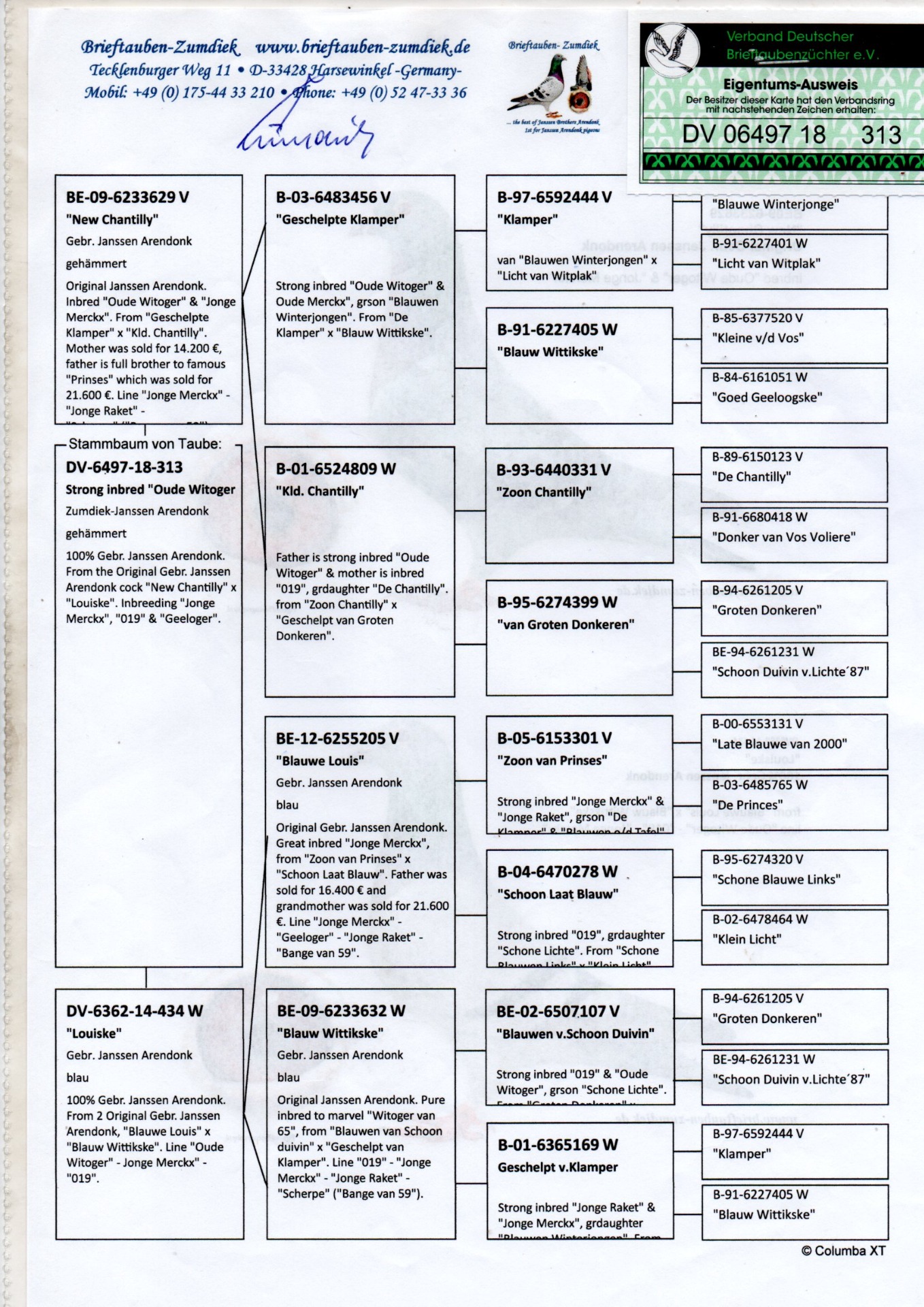 PEDIGREE 313 ZUMDIEK