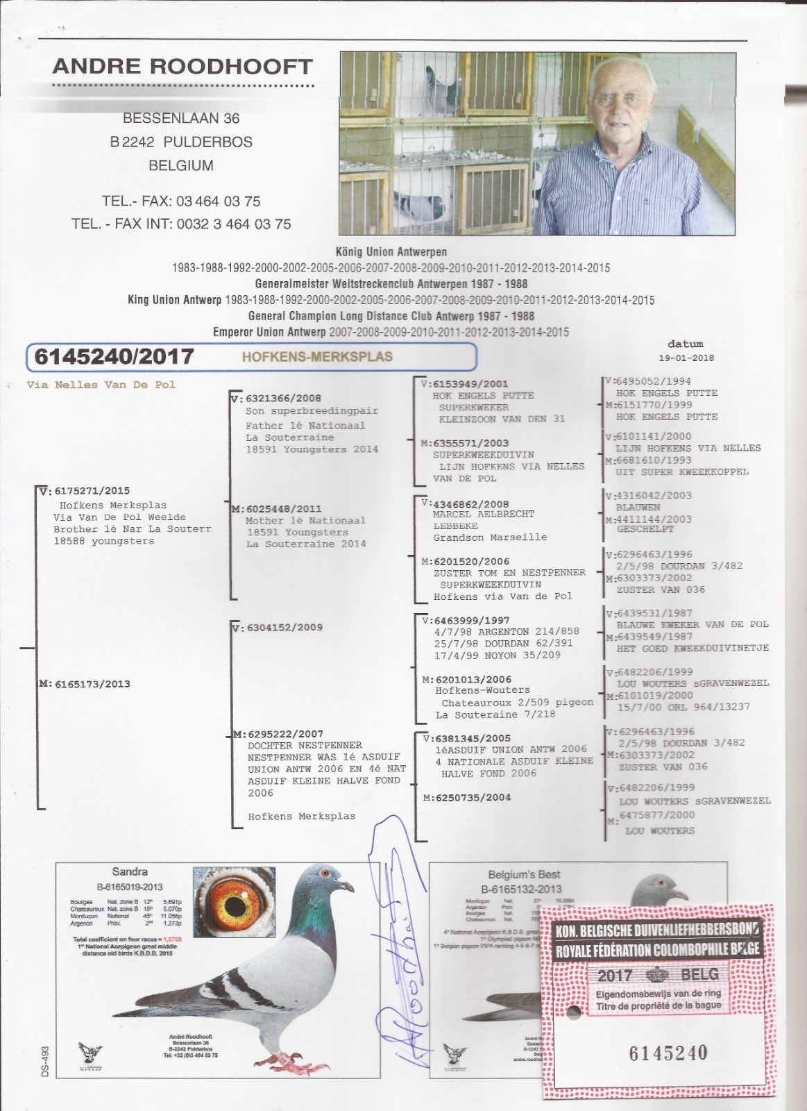 PEDIGREE 240 ROODHOOFT