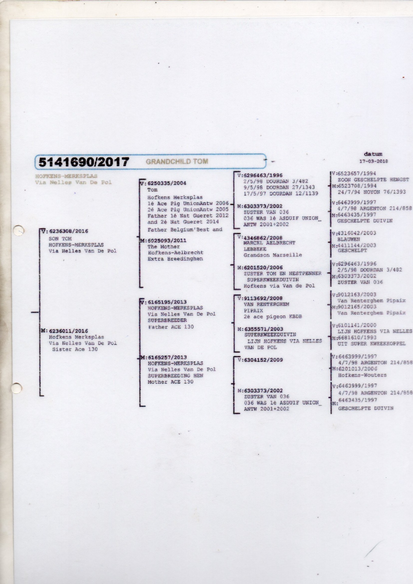 PEDIGREE 690 ROODHOOFT