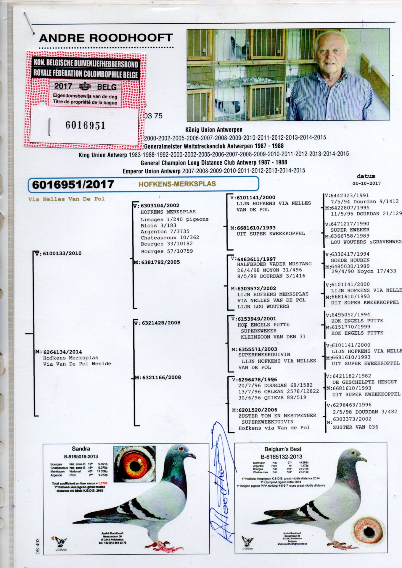 PEDIGREE 951 ROODHOOFT