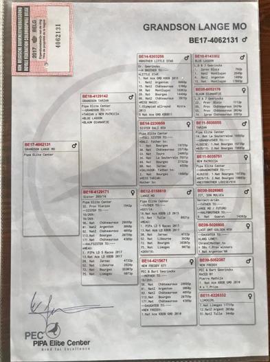 PEDIGREE 4062131 PIPA