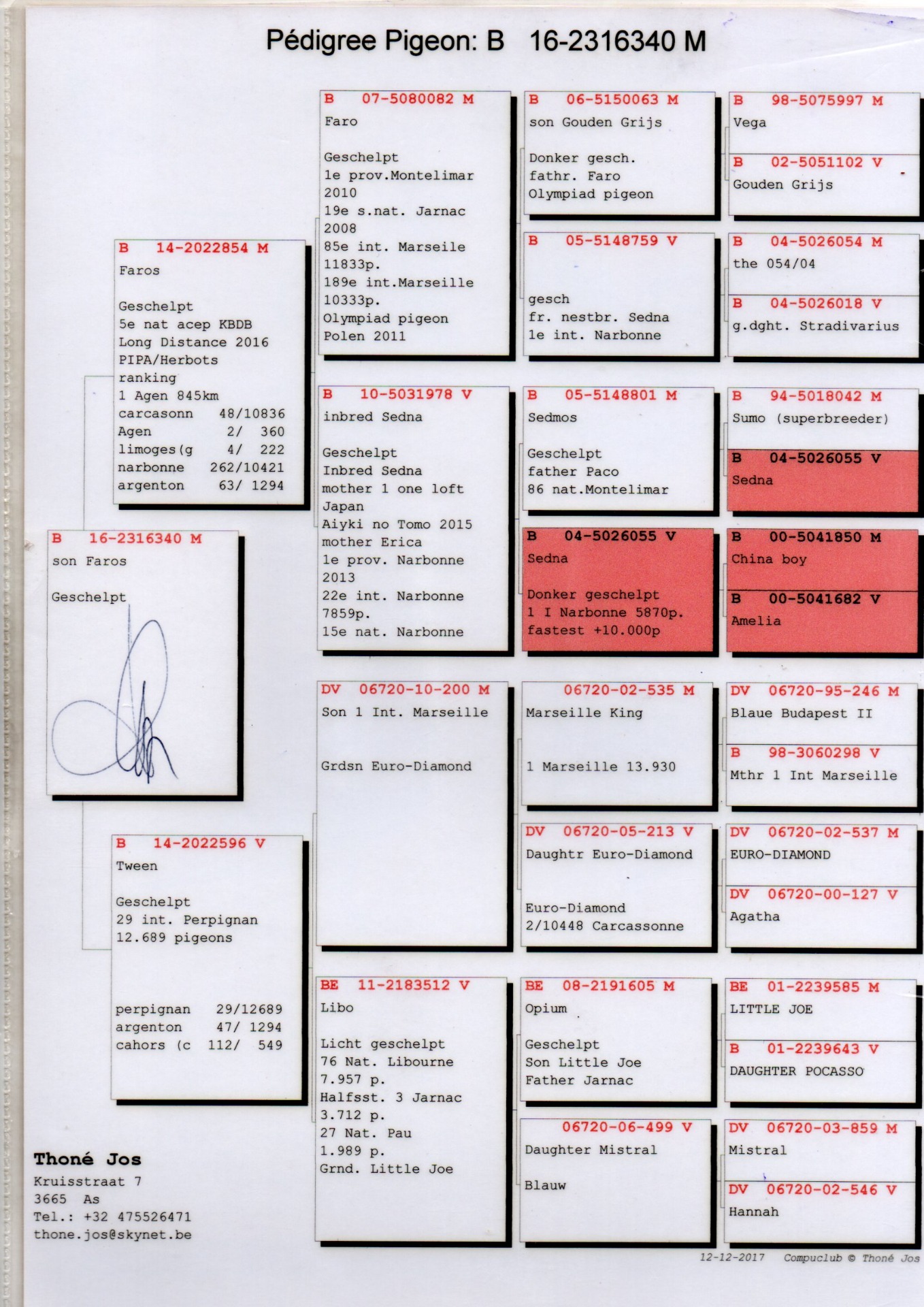 PEDIGREE 340 SON FAROS THONE