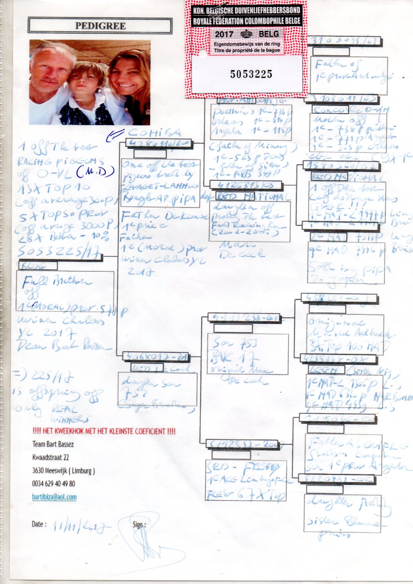 PEDIGREE BART BASSEZ