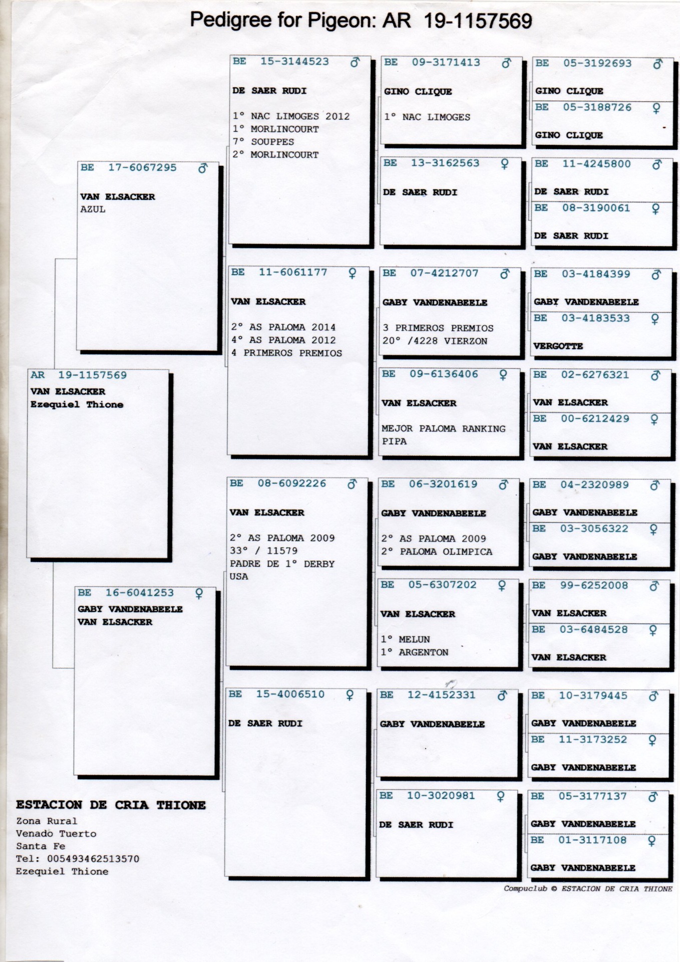 PEDIGREE VAN ELSACKER