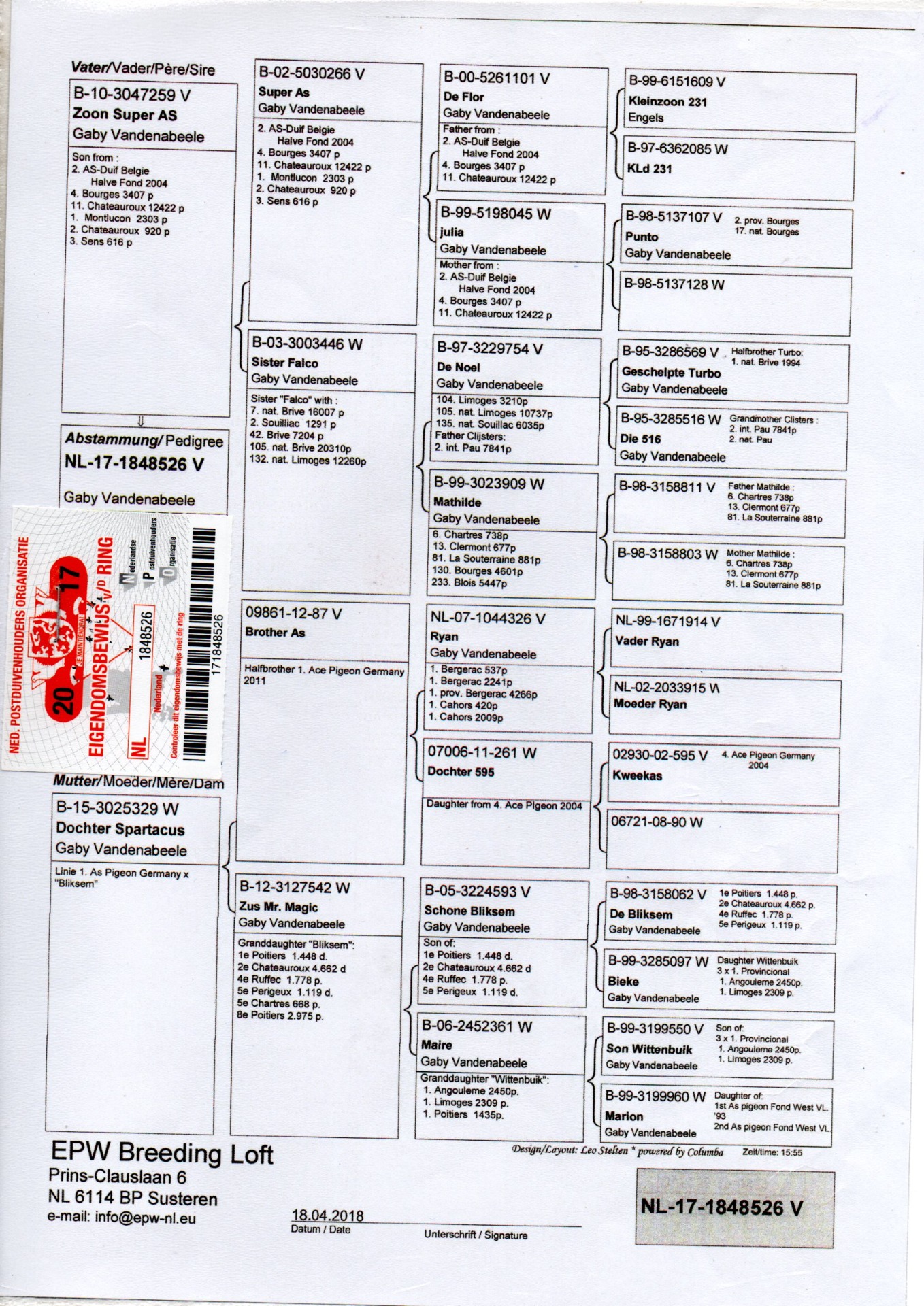 PEDIGREE GABY IMPORTADO