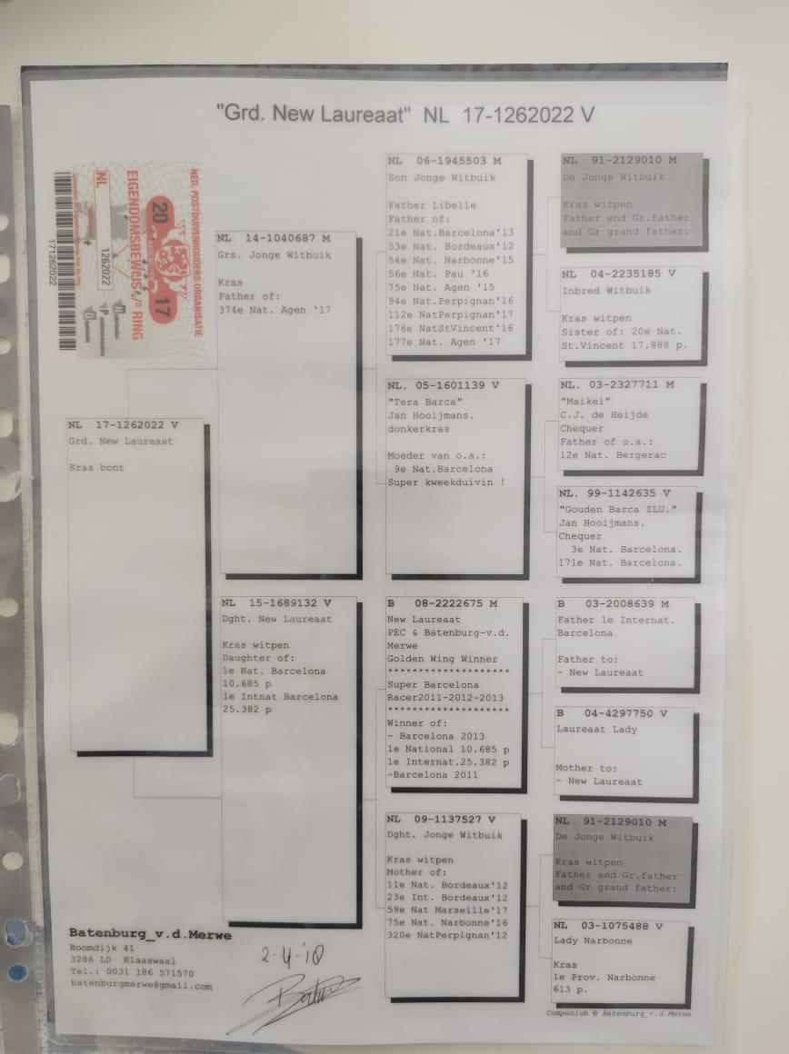 PEDIGREE BATEMBURG 022