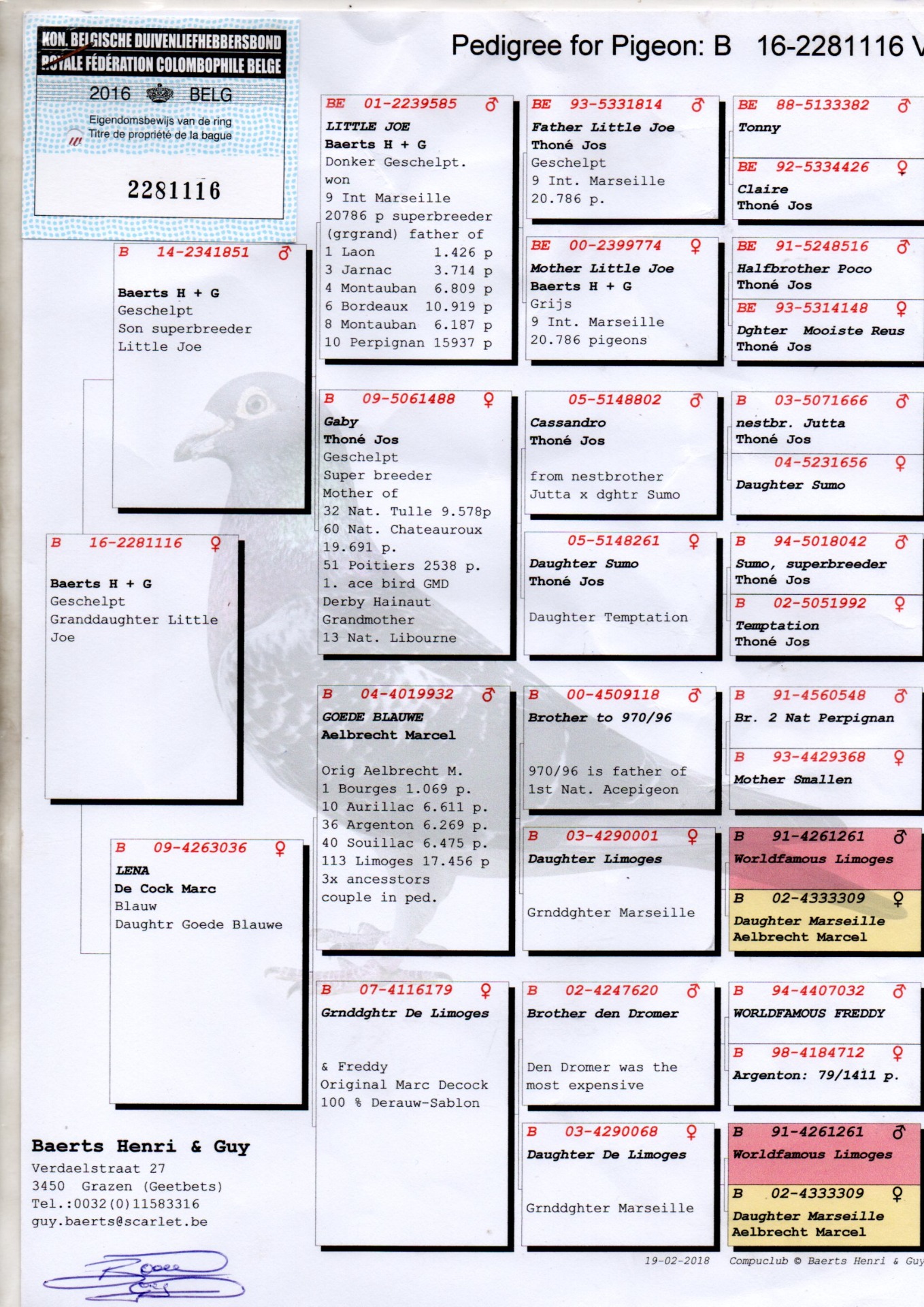 PEDIGREE 2281116 BAERTS
